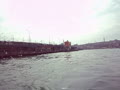 イスタンブルの長い長いガラタ大橋をウザい海鳥を手前に映してみました。
