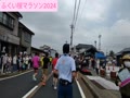 ふくい桜マラソン2024